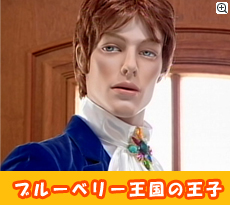 ブルーベリー王国の王様